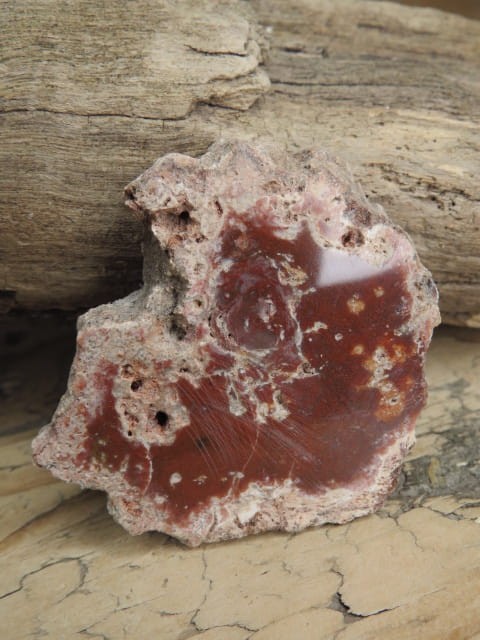 skamieniałe drewno * Madagaskar