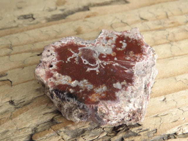 skamieniałe drewno * Madagaskar