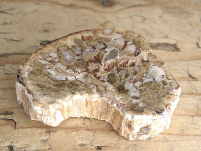 skamieniałe drewno * Madagaskar