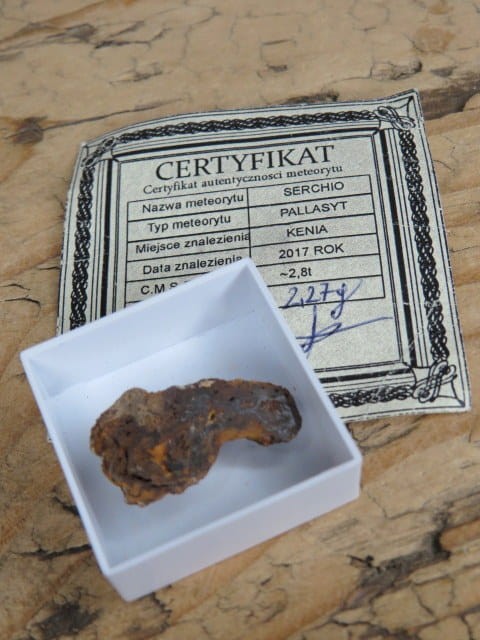 Meteoryt pallasyt * Serchio