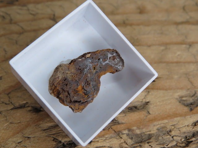 Meteoryt pallasyt * Serchio