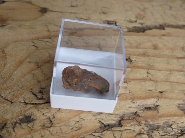 Meteoryt pallasyt * Serchio