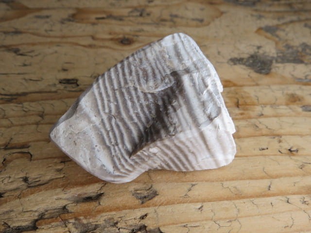 Krzemień pasiasty z Polski – naturalny okaz o wyraźnym wzorze i kontrastowych pasmach.