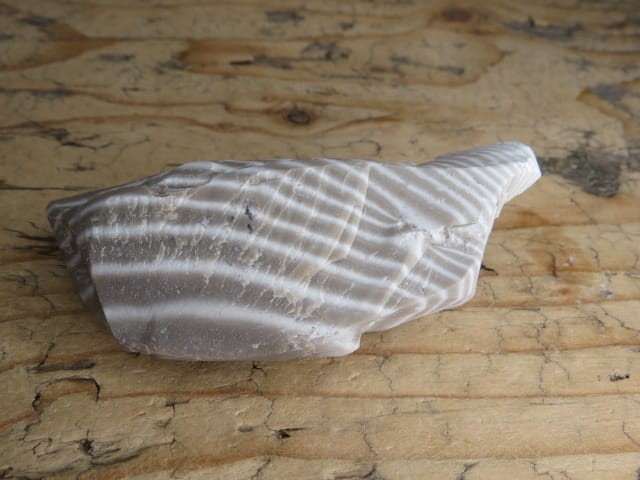 Krzemień pasiasty z Polski – naturalny okaz o wyraźnym wzorze i kontrastowych pasmach.