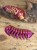Trylobit Dalmanites – ruchoma replika 3D