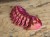 Trylobit Dalmanites – ruchoma replika 3D