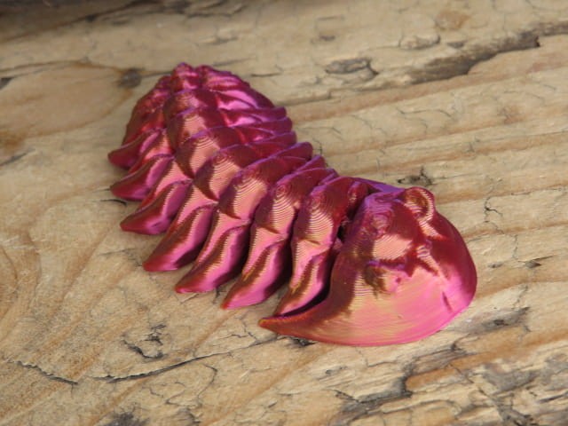 Trylobit Dalmanites – ruchoma replika 3D