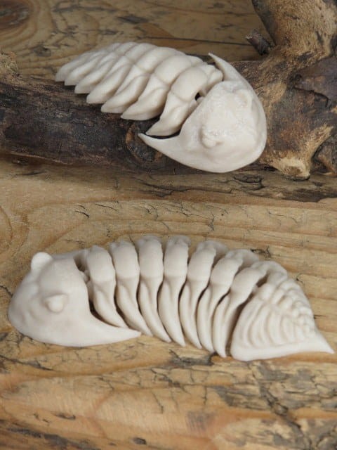 Trylobit Dalmanites – ruchoma replika 3D