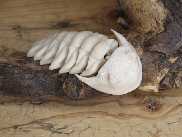 Trylobit Dalmanites – ruchoma replika 3D