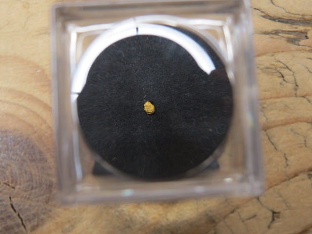 złoto rodzime z Polski – Sudety