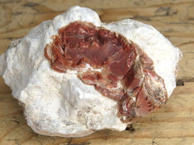 karneol w wapieniu - Sudety Polska