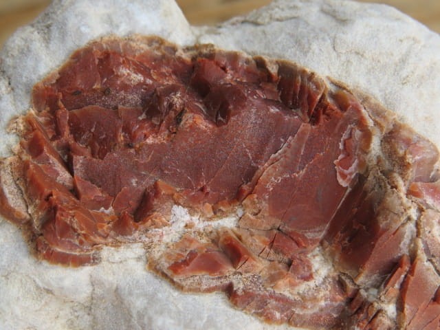 karneol w wapieniu - Sudety Polska