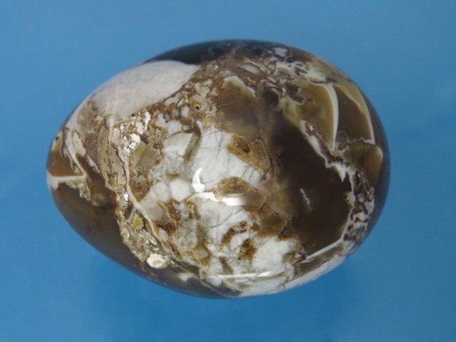 brekcja * jajko, jajo