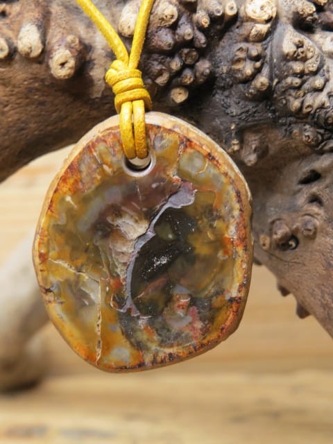 skamieniałe drewno * talizman długowieczności na rzemieniu