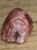 karneol z agatem Brazylia