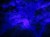 Fioletowy fluoryt prezentujący efekt fluorescencji UV