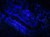 Fioletowy fluoryt wykazujący intensywną fluorescencję pod światłem UV