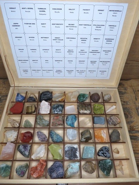 Zestaw minerałów i skamieniałości