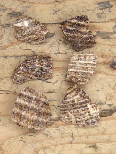 Aragonit tygrysi z Peru – bryłka aragonitu w brązowo-beżowe pasy. Naturalny okaz kolekcjonerski.