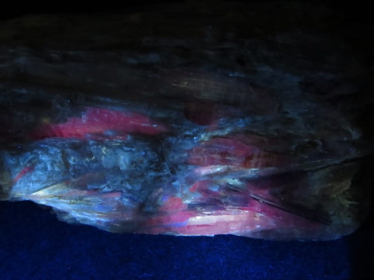 dysten - cyjanit Brazylia UV