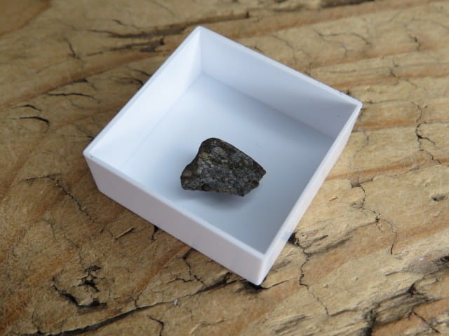 Meteoryt kamienny * NWA 869