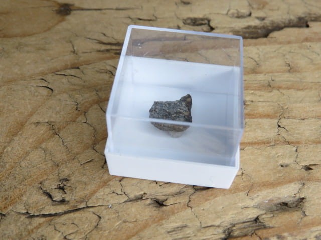 Meteoryt kamienny * NWA 869