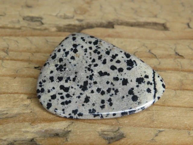 jaspis dalmatyńczyk Brazylia