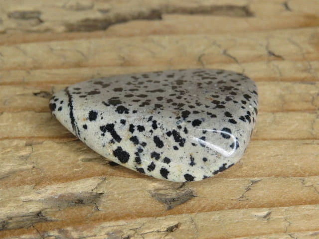 jaspis dalmatyńczyk Brazylia