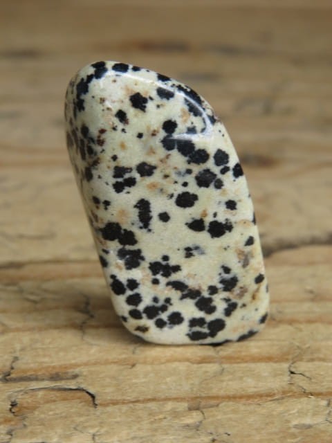 jaspis dalmatyńczyk Brazylia