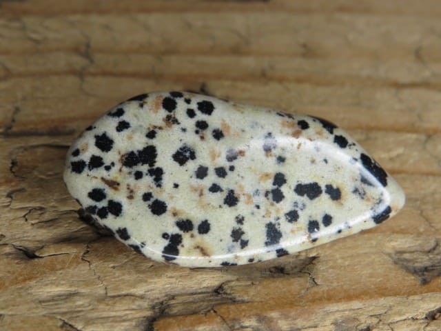 jaspis dalmatyńczyk Brazylia