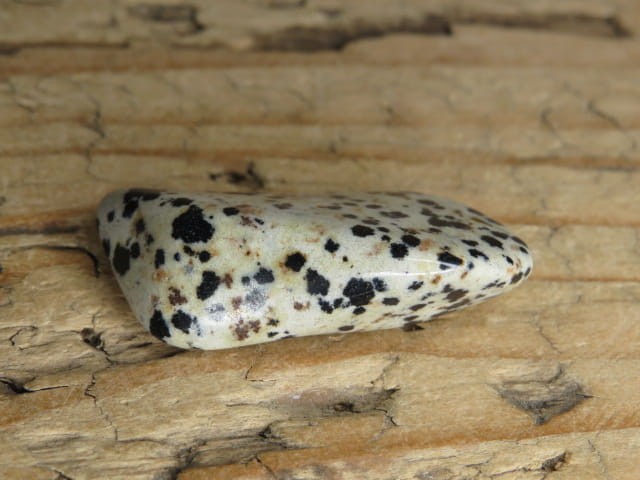 jaspis dalmatyńczyk Brazylia