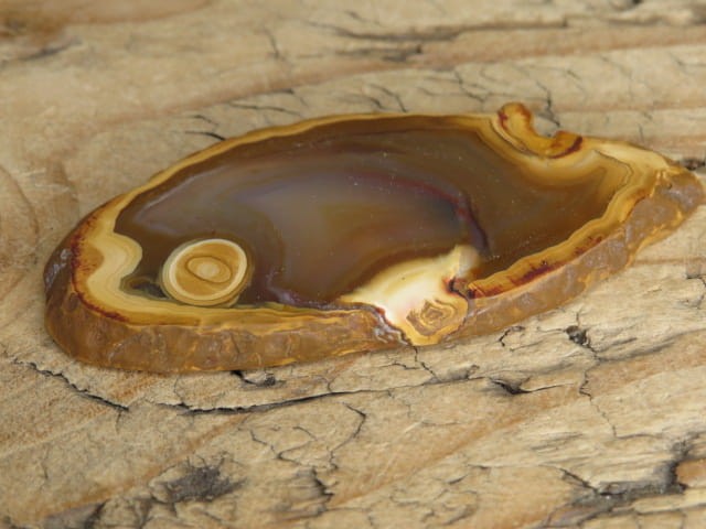 agat brązowy - plaster