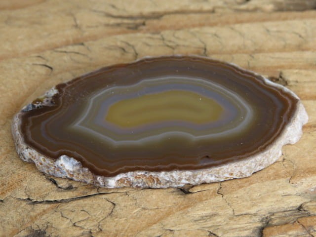 agat brązowy - plaster