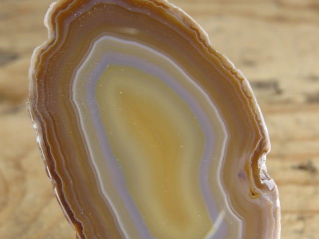 agat brązowy - plaster