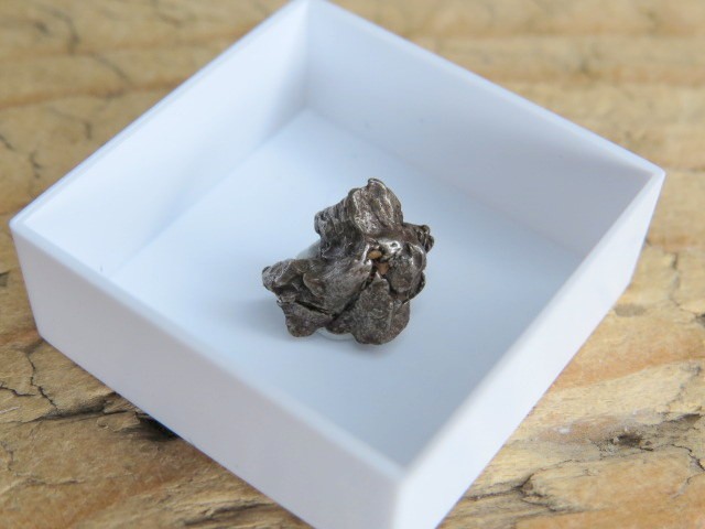 Meteoryt żelazny * Campo del Cielo