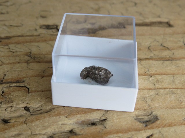 Meteoryt żelazny * Campo del Cielo