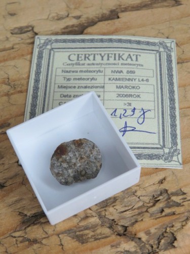 Meteoryt kamienny * NWA 869
