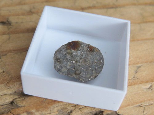 Meteoryt kamienny * NWA 869