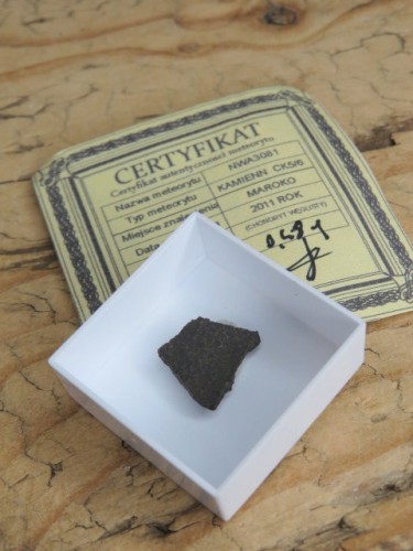 Meteoryt kamienny * NWA 3081