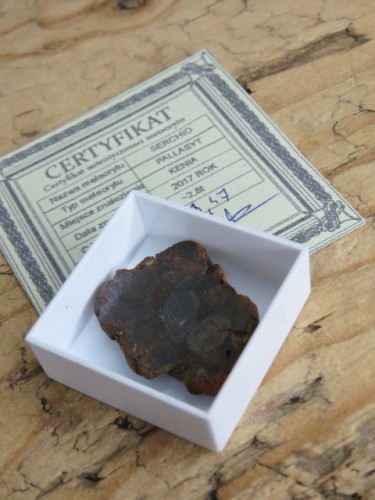 Meteoryt pallasyt * Serchio