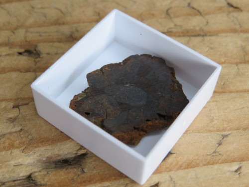 Meteoryt pallasyt * Serchio