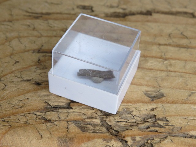 Meteoryt żelazny * GIBEON