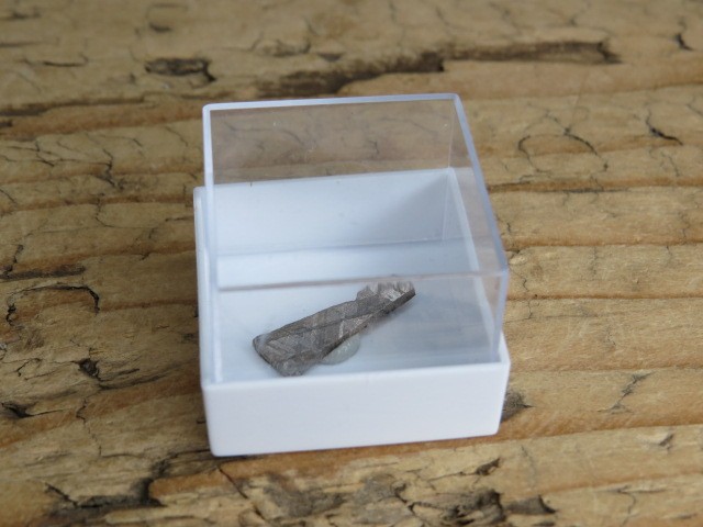 Meteoryt żelazny * GIBEON