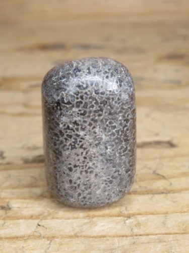 Kość dinozaura * Atlasaurus