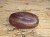 Shiva Lingam – święty kamień mocy w naturalnych barwach