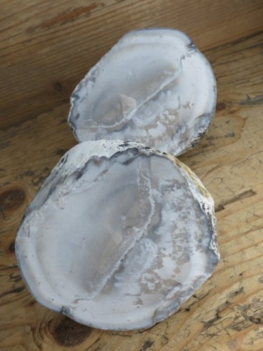 krzemień konkrecja - buła cała * Polska