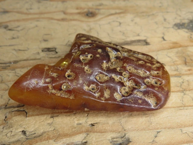 Bursztyn bałtycki – okaz kolekcjonerski fluorescencja UV