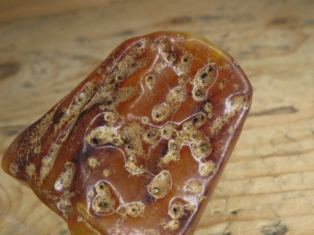 Bursztyn bałtycki – okaz kolekcjonerski fluorescencja UV