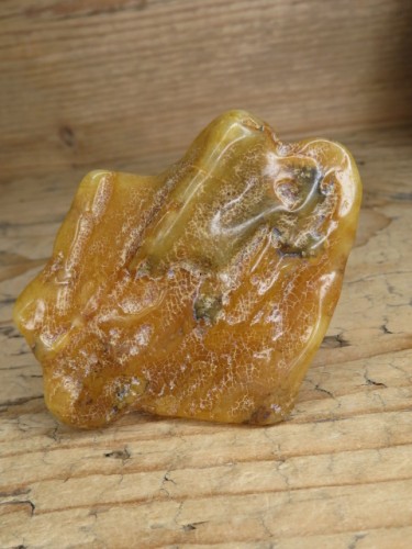 Bursztyn bałtycki 24,8g – okaz kolekcjonerski