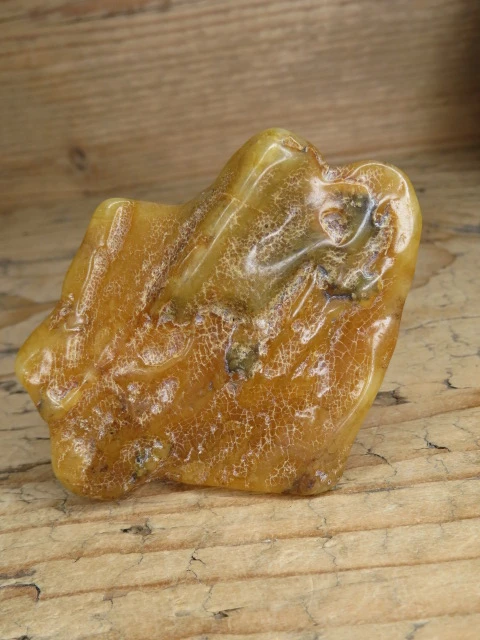 Bursztyn bałtycki 24,8g – okaz kolekcjonerski